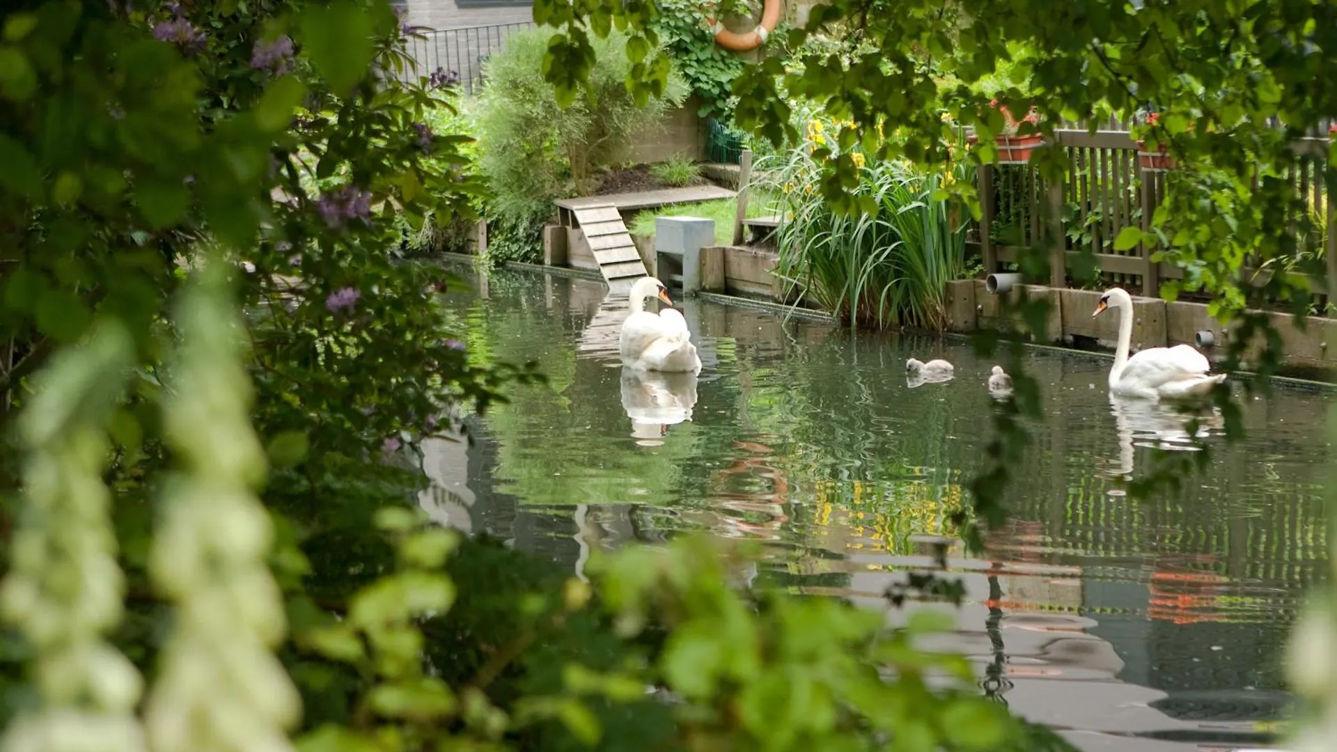 Bed and breakfast B&B Canal Deluxe Brujas
